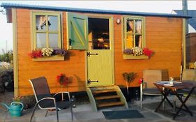 Mountain View Shepherds Hut